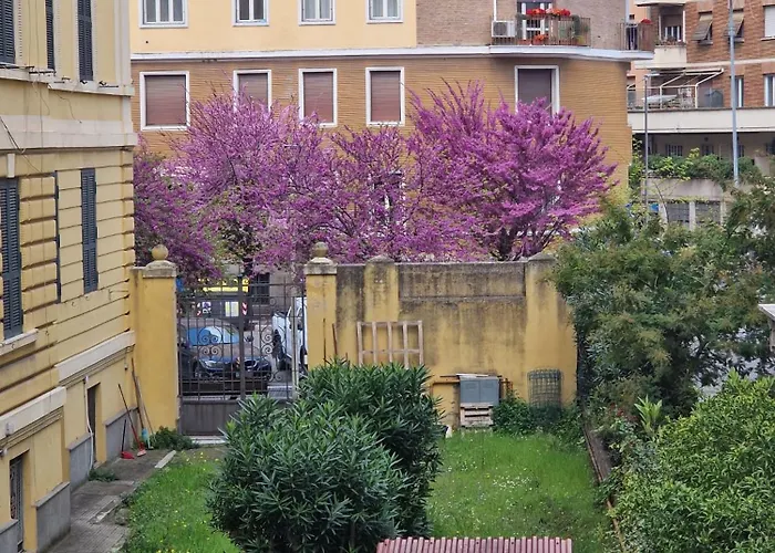 Alcinque -